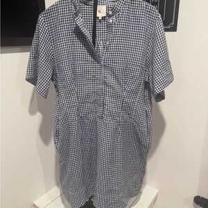 Goop Blue and White Checkered Mini Dress